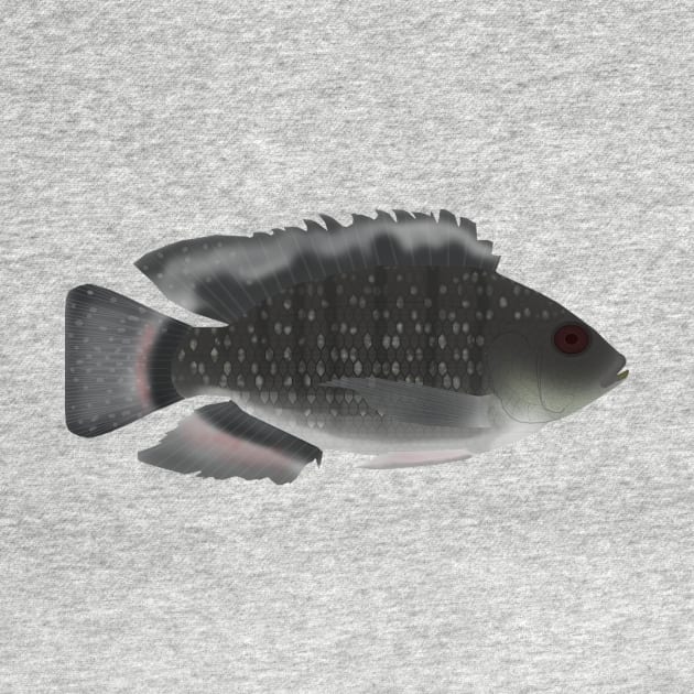 Blue Spotted Tilapia by FishFolkArt